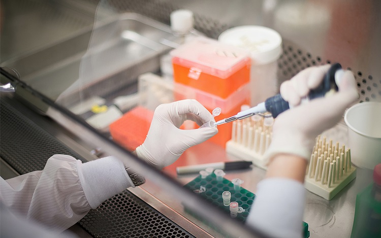 Laboratory worker prepares test tubes