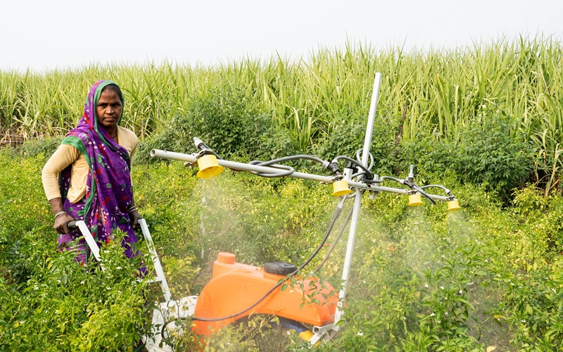 Prema Devi uses BioPrime AgriSolutions pest controller and Kamal Kisan pesticide spray on her farm in Gauripur village, Uttar Pradesh, India.